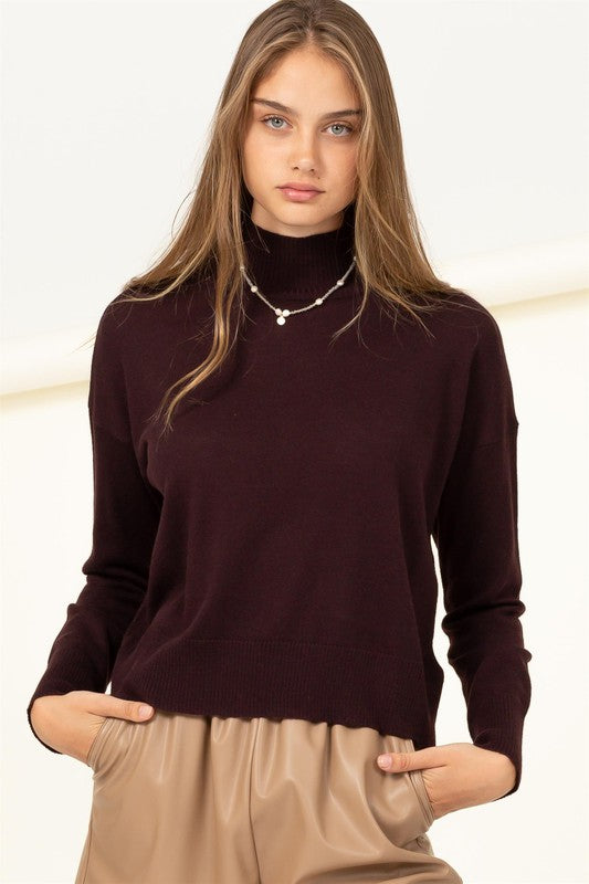 Burgundy High Neckline Long Sleeve Sweater