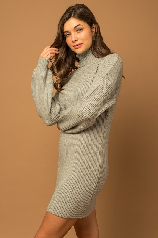 Turtleneck Balloon Sleeve Sweater Dress