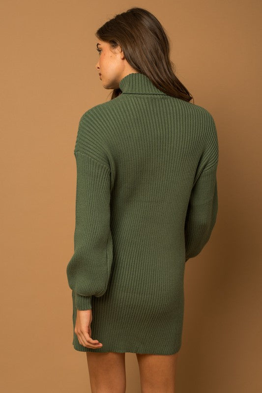 Turtleneck Balloon Sleeve Sweater Dress