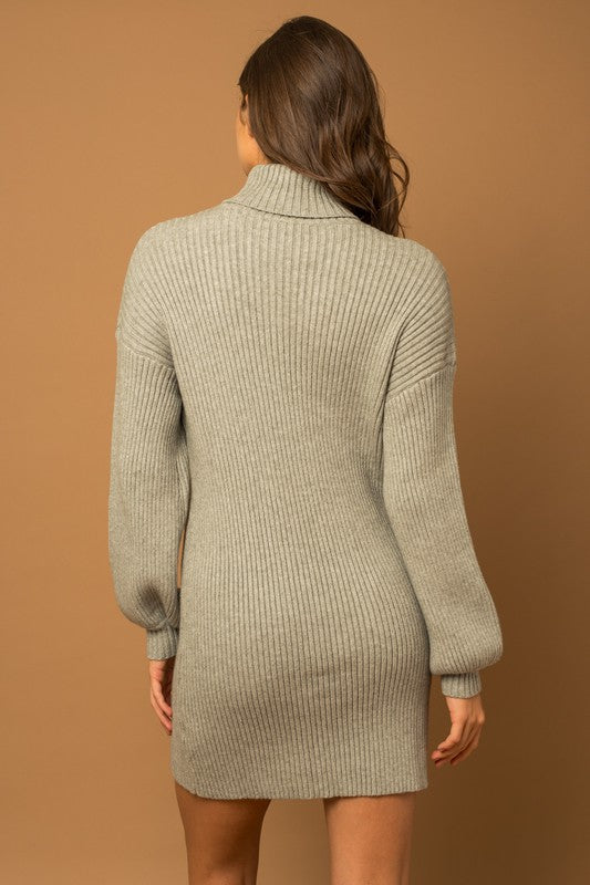 Turtleneck Balloon Sleeve Sweater Dress