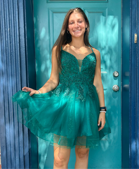 Fairytale Wishes Homecoming Dress