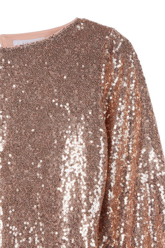 Rose Gold Long Sleeves Sequin Mini Dress