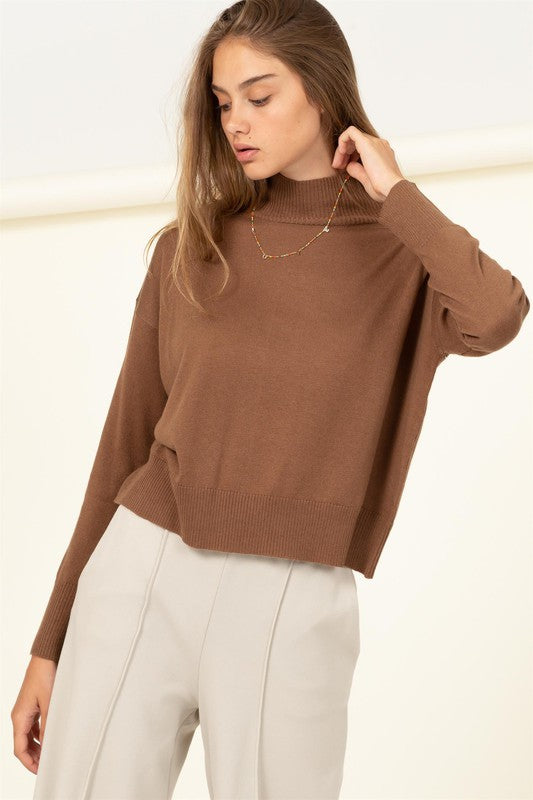 Brown High Neckline Long Sleeve Sweater